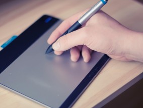 2025最新本科专业速查指南