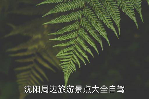 澳门一肖一码100%准确1，任其自然精选答案落实_YX784.338