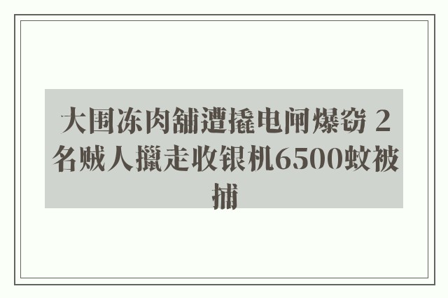 大围冻肉舖遭撬电闸爆窃 2名贼人擸走收银机6500蚊被捕